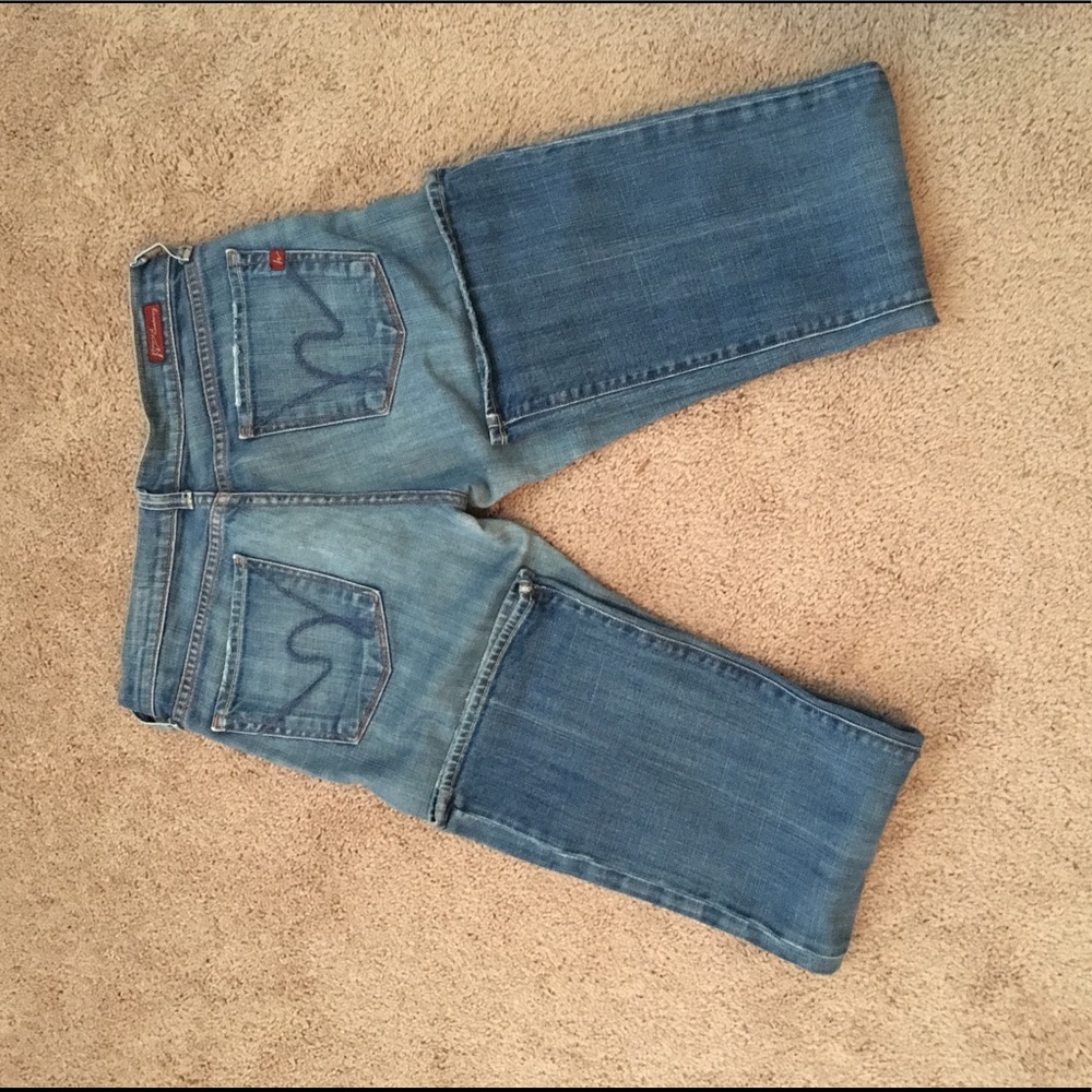 Citizens of Humanity Wide Leg Jeans
